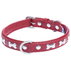 Rotterdam Bones Leather Collar - Red