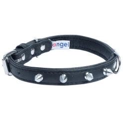 Rotterdam Dog Collar Leather Spiked Midnight Black