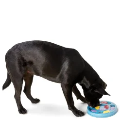 Round Puzzle Dog Toy