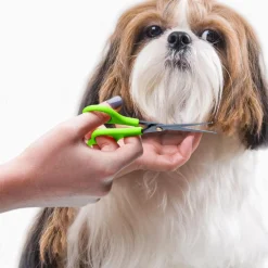 Rounded Tip Shear Scissors