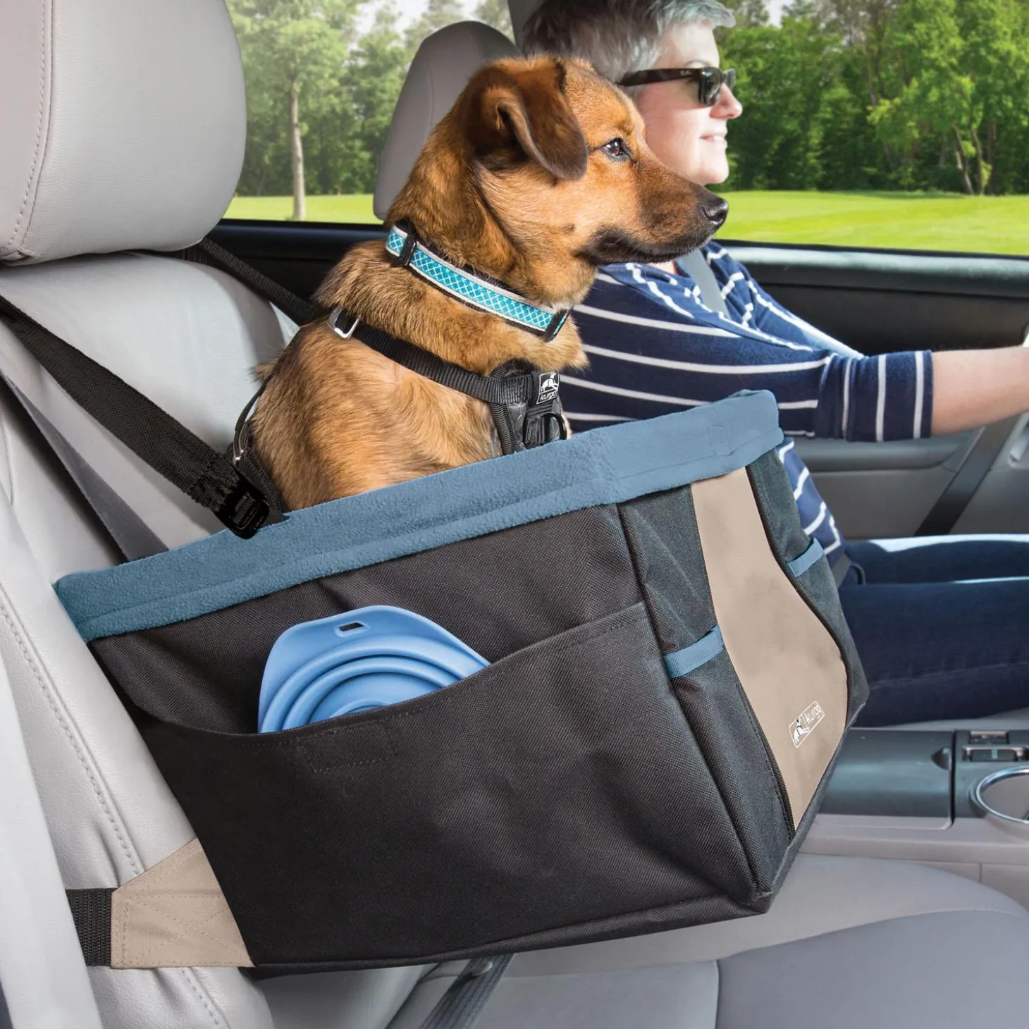 Rover Black & Blue Dog Booster Seat