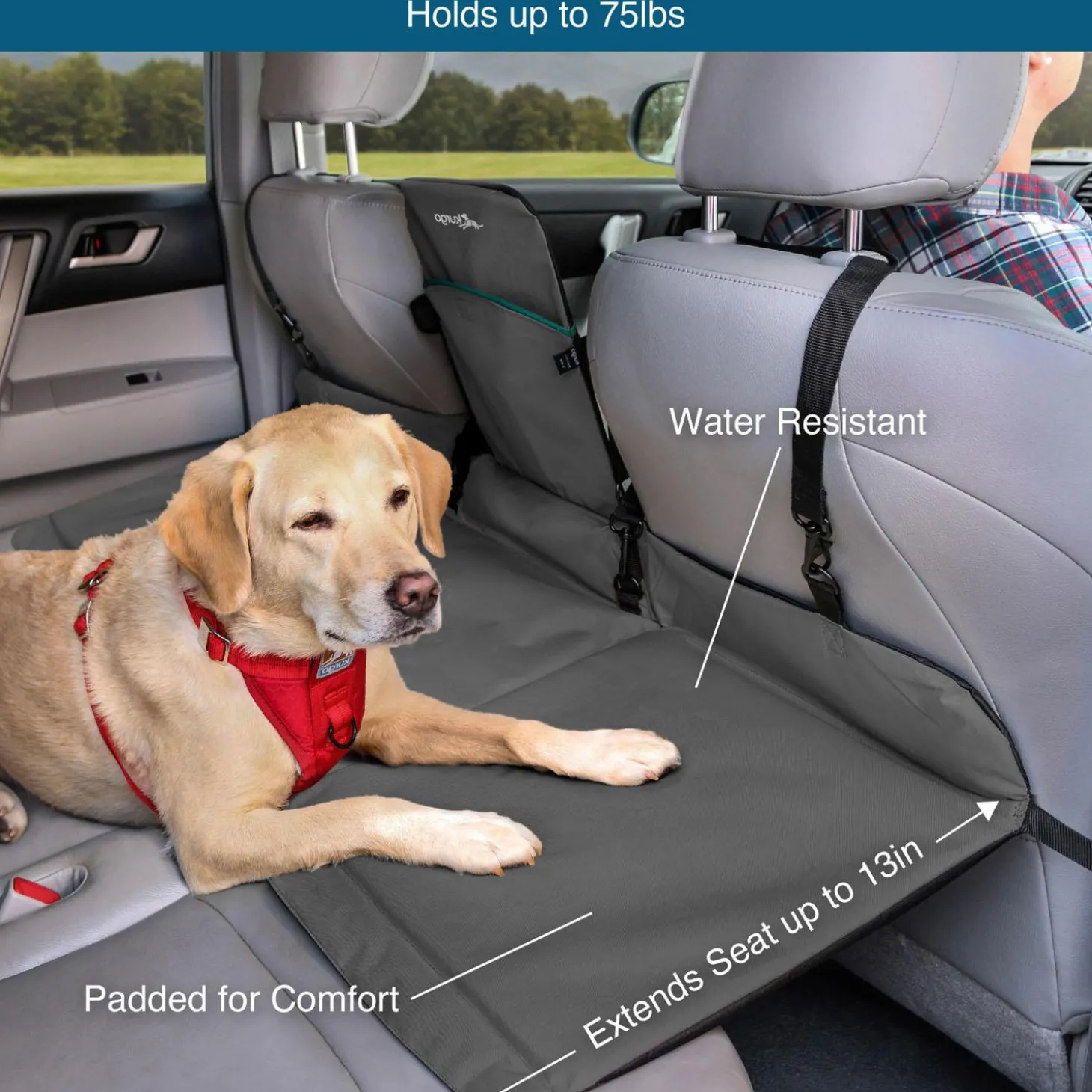 Rover Black Backseat Bridge