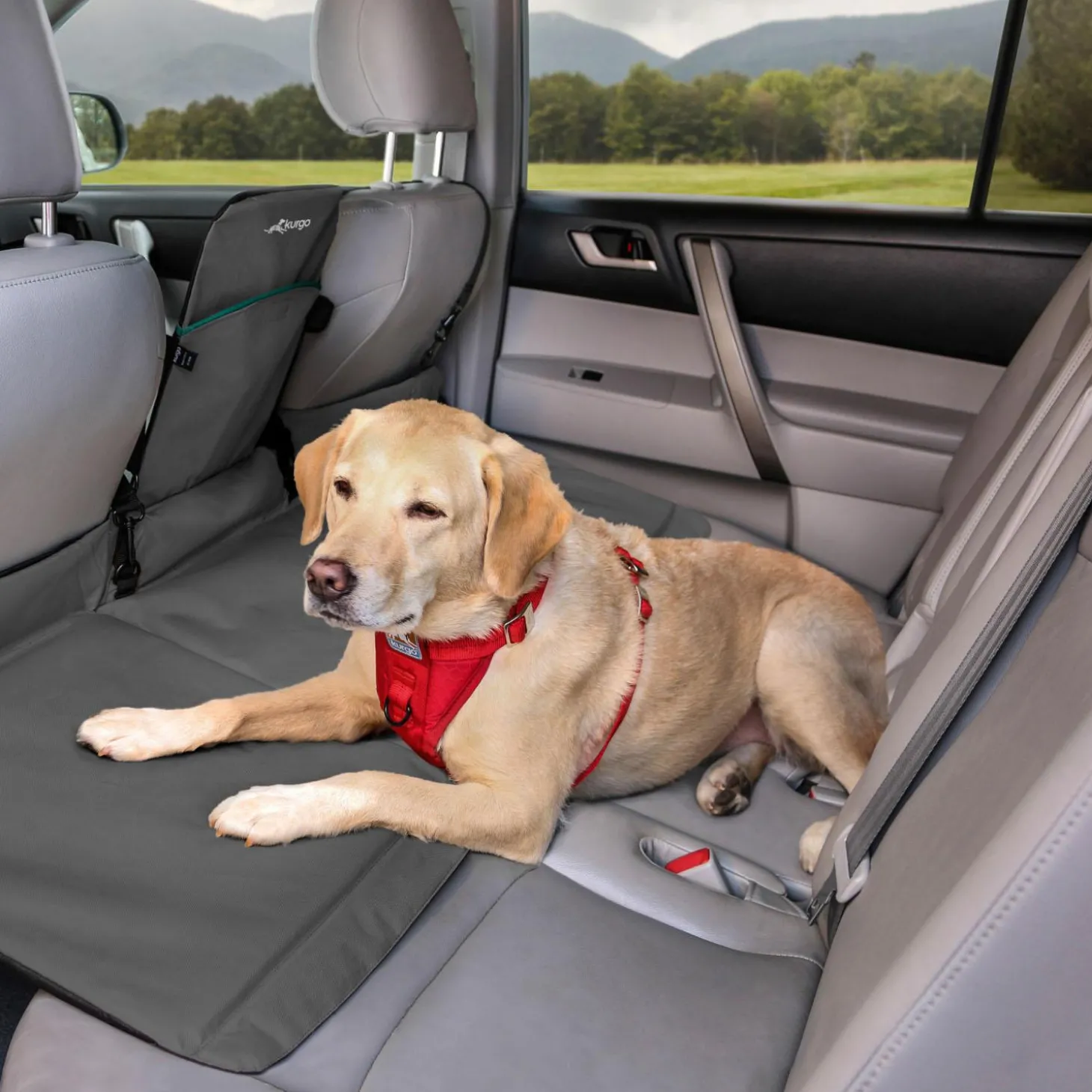 Rover Black Backseat Bridge