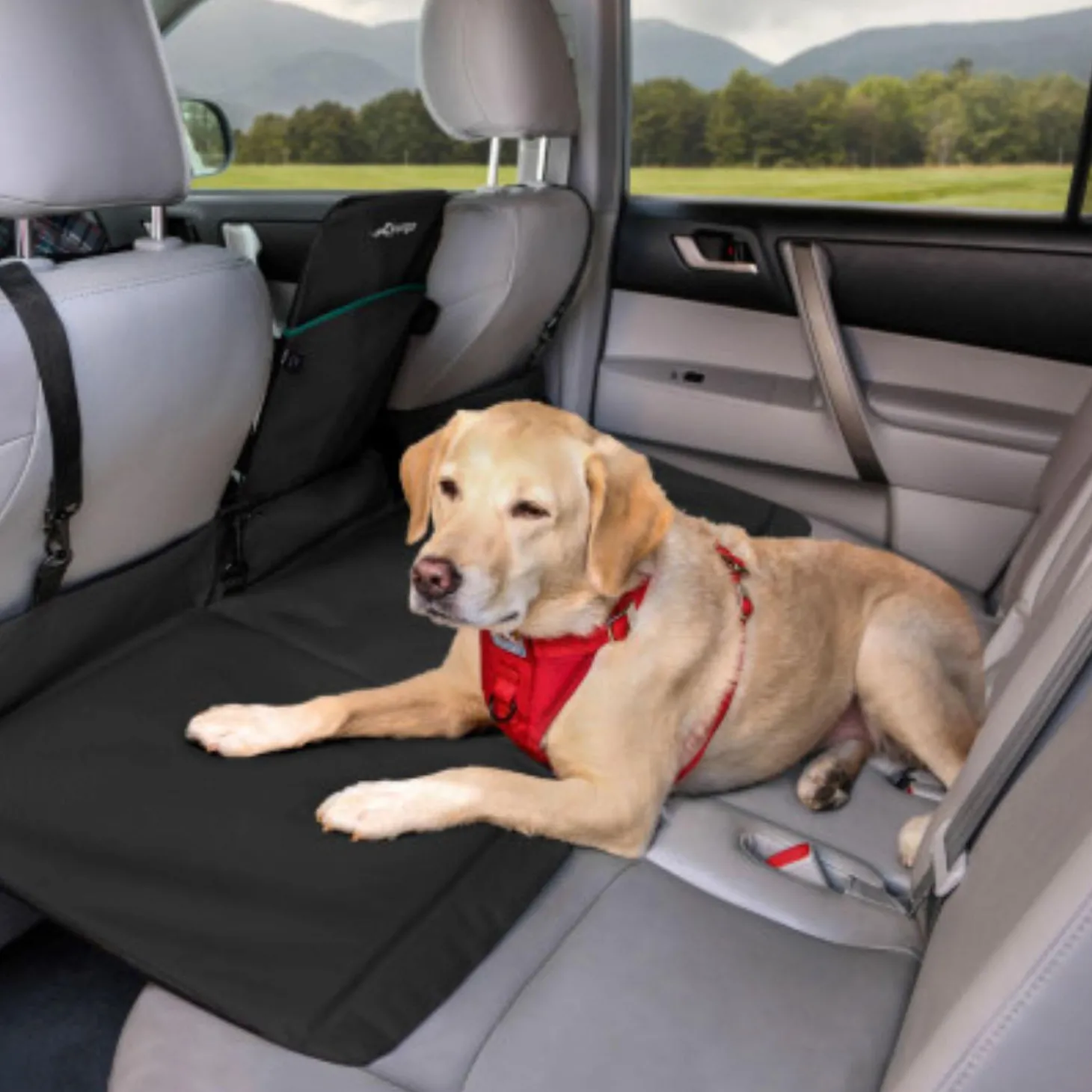 Rover Black Backseat Bridge