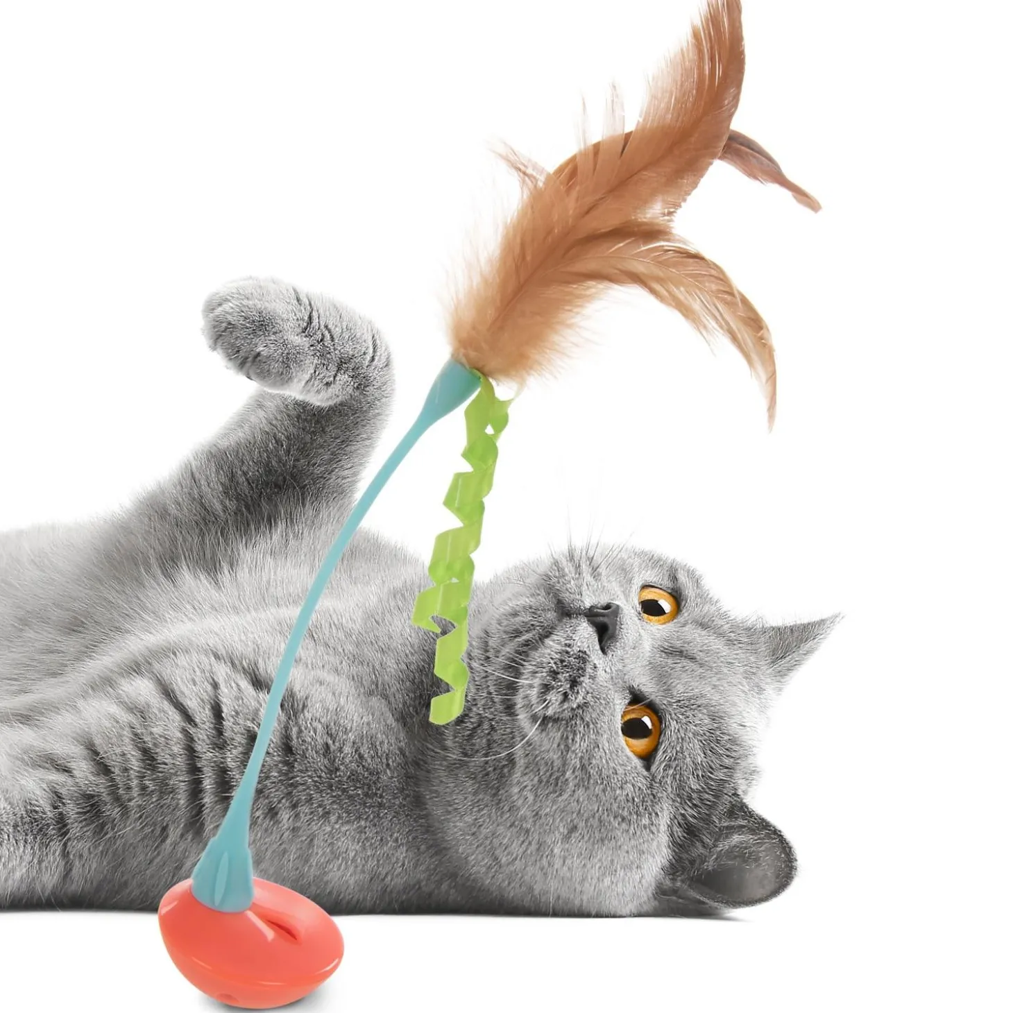 Rowdy Rocker Cat Toy