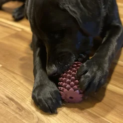 Rubber Pinecone Dog Toy