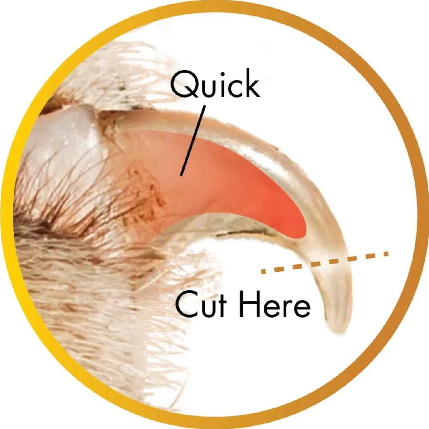 Safari Guillotine Dog Nail Trimmer