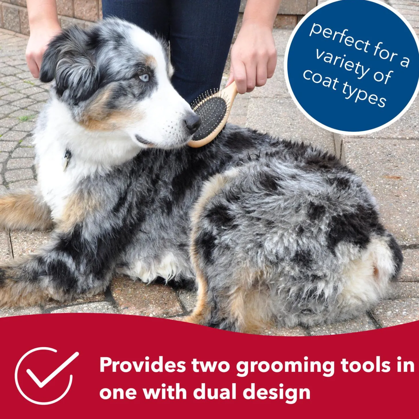 Safari Pin and Bristle Combo Dog Brush