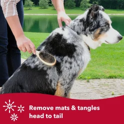 Safari Pin and Bristle Combo Dog Brush