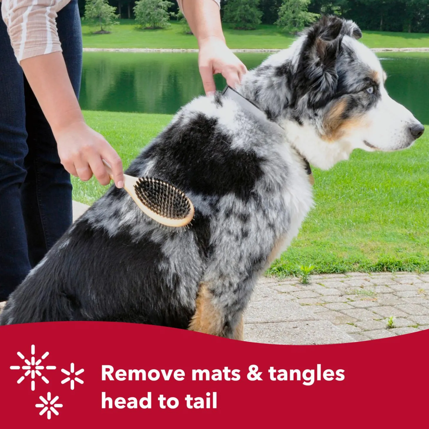 Safari Pin and Bristle Combo Dog Brush