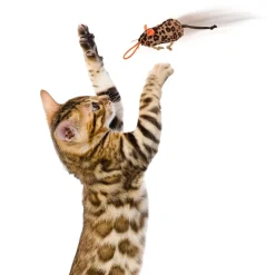 Safari Sneakers Cat Toys