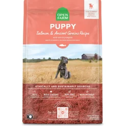 Salmon & Ancient Grains Recipe Puppy Dog Food