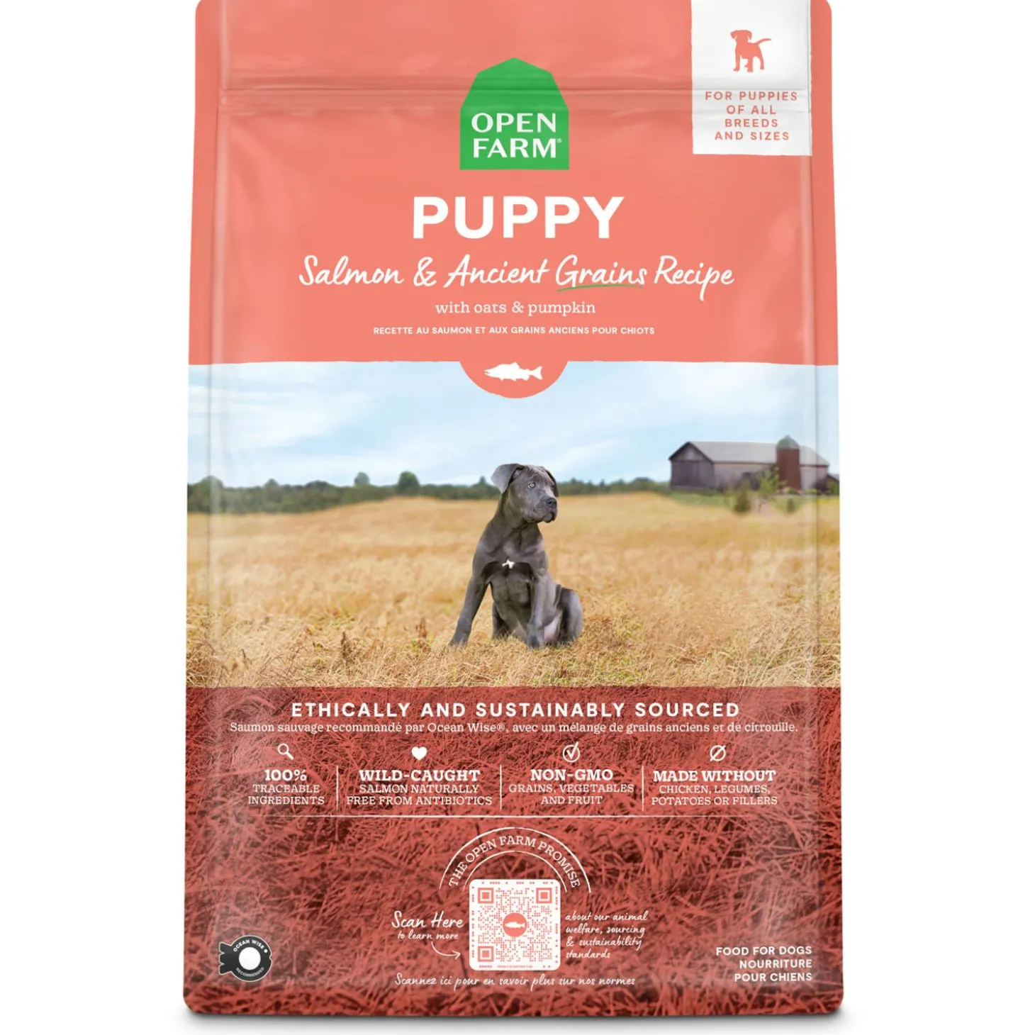 Salmon & Ancient Grains Recipe Puppy Dog Food