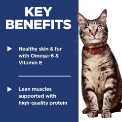 Salmon & Brown Rice Recipe Adult Cat Food