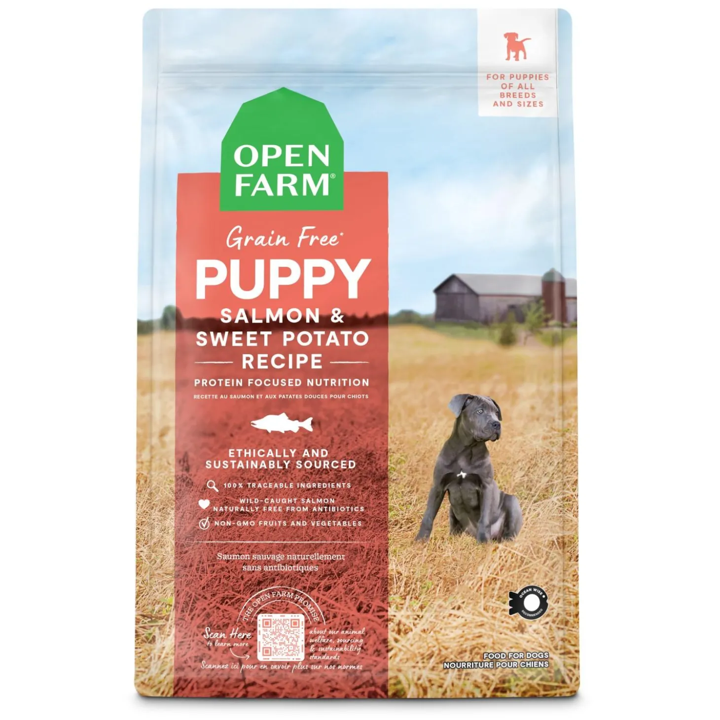 Salmon & Sweet Potato Recipe Puppy Dog Food