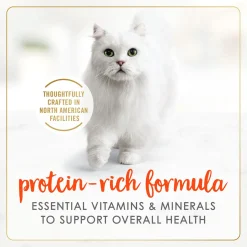 Salmon Feast Pate Adult Cat Food