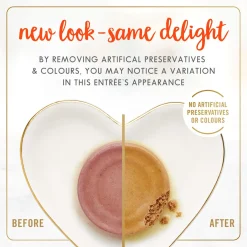 Salmon Feast Pate Adult Cat Food