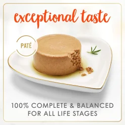 Salmon Feast Pate Adult Cat Food