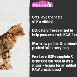 Salmon Recipe Cat Food Topper