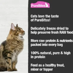 Salmon Recipe Cat Treats