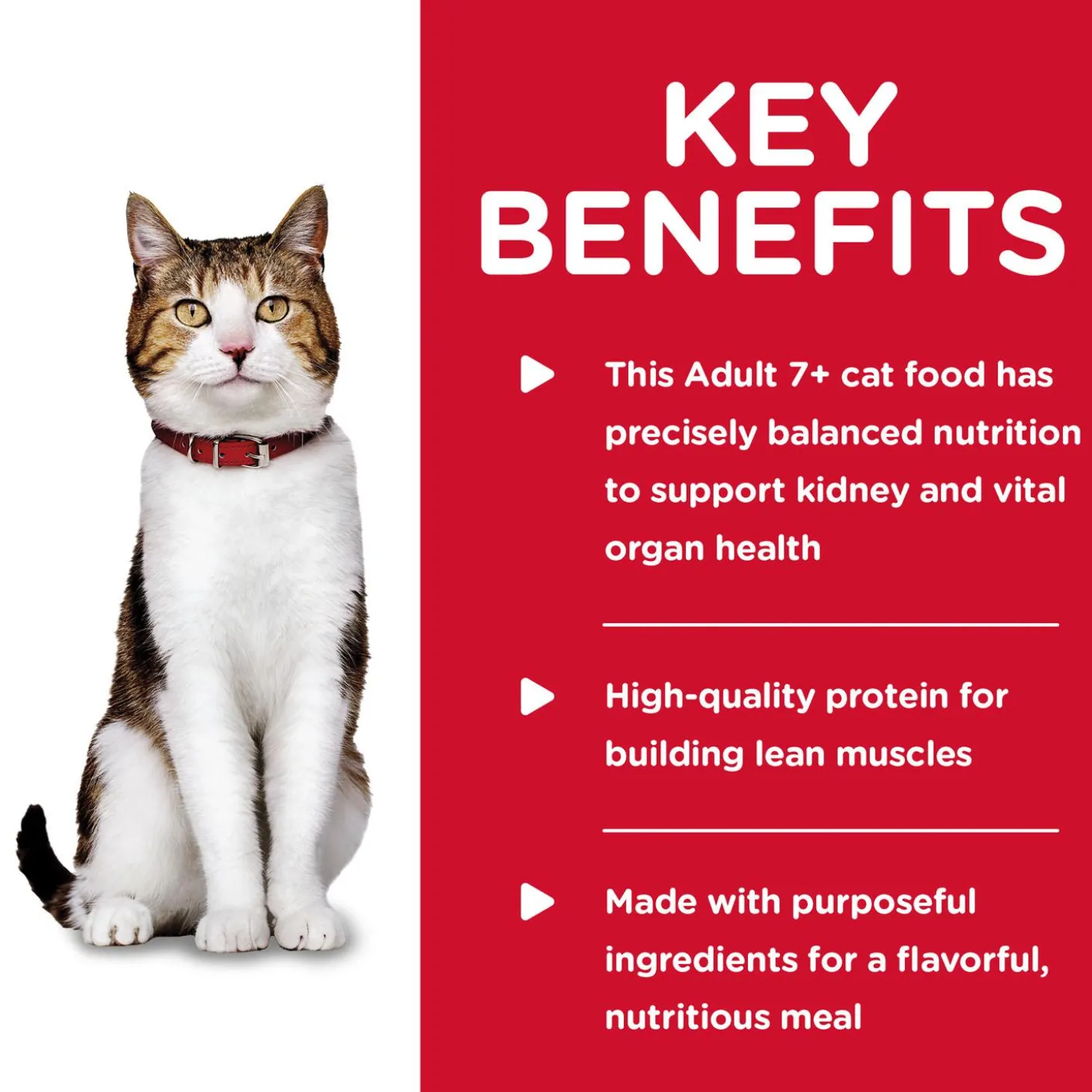 Savoury Beef Entree Adult 7+ Cat Food