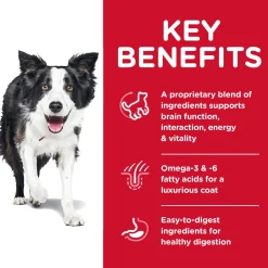 Senior Vitality Chicken & Rice Recipe Adult 7+ Dog Food