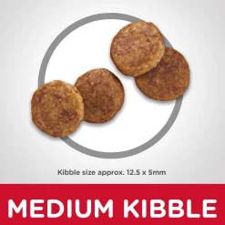 Senior Vitality Chicken & Rice Recipe Adult 7+ Dog Food