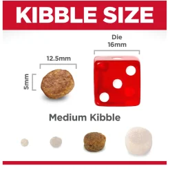 Senior Vitality Chicken & Rice Recipe Adult 7+ Dog Food