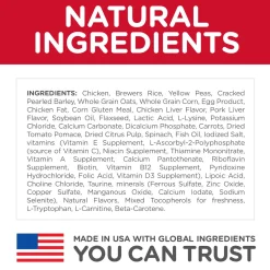 Senior Vitality Chicken & Rice Recipe Adult 7+ Dog Food