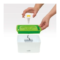 Senses 2.0 Mini Flower Fountain