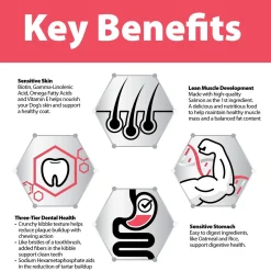 Sensitive Skin & Stomach Salmon & Oatmeal Formula Adult Dog Food