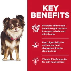 Sensitive Stomach & Skin Chicken Recipe Small Breed Adult Dog Food