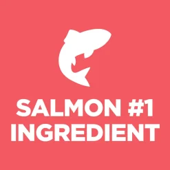 Sensitive Stomach & Skin Salmon & Brown Rice Recipe Puppy Dog Food