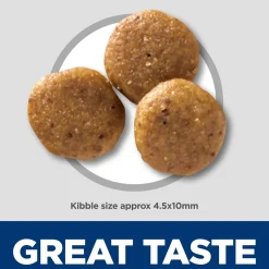 Sensitive Stomach & Skin Salmon & Brown Rice Recipe Puppy Dog Food