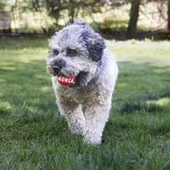 Signature Balls Medium Dog Toys