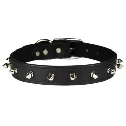Signature Leather Spiked Black Dog Collar