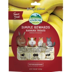 Simple Rewards Banana Small Animal Treats