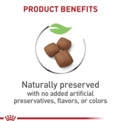 Size Health Nutrition Giant Junior Dog Food