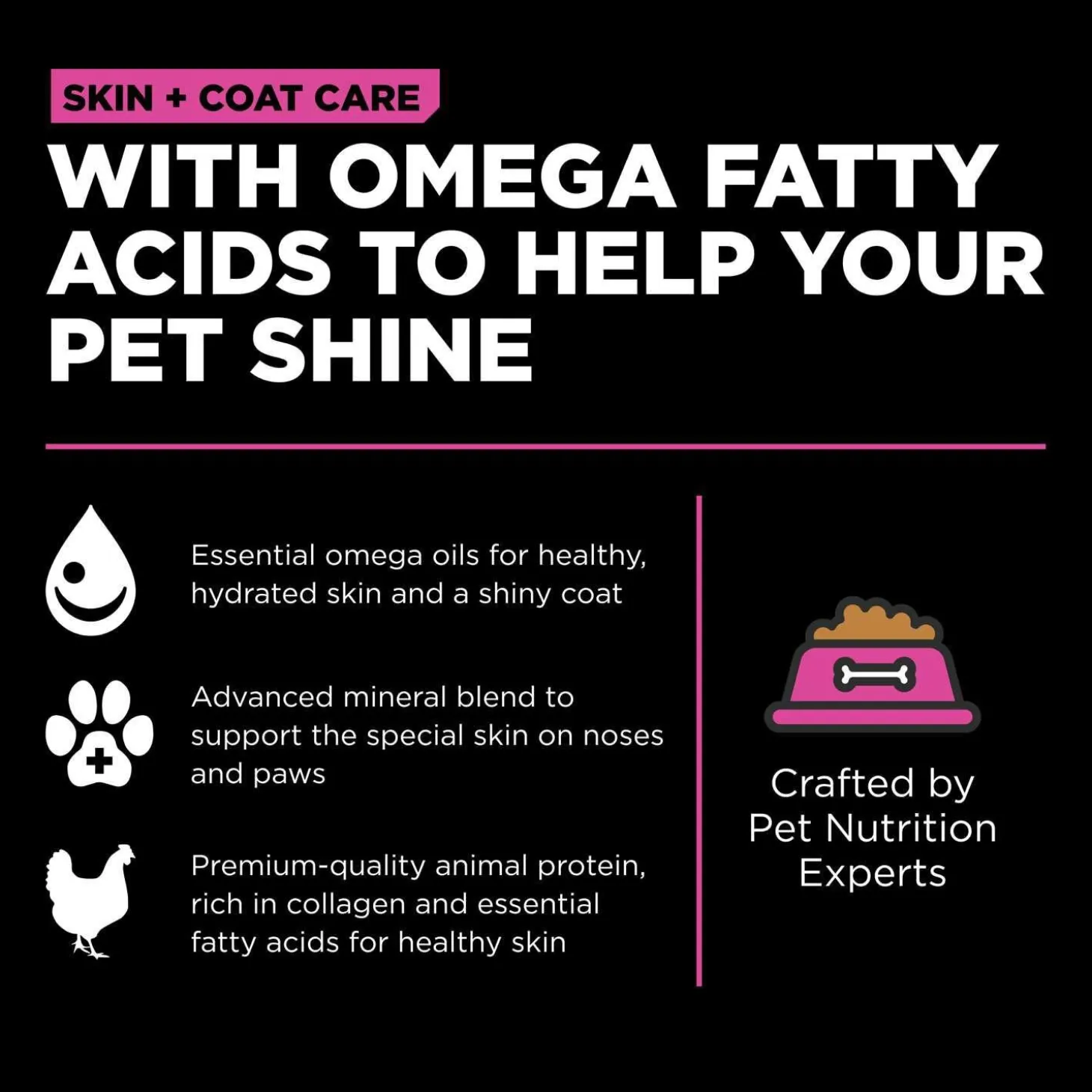 Skin + Coat Care Chicken With Grains Recipe Cat Food