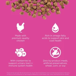 Skin + Coat Care Chicken With Grains Recipe Cat Food