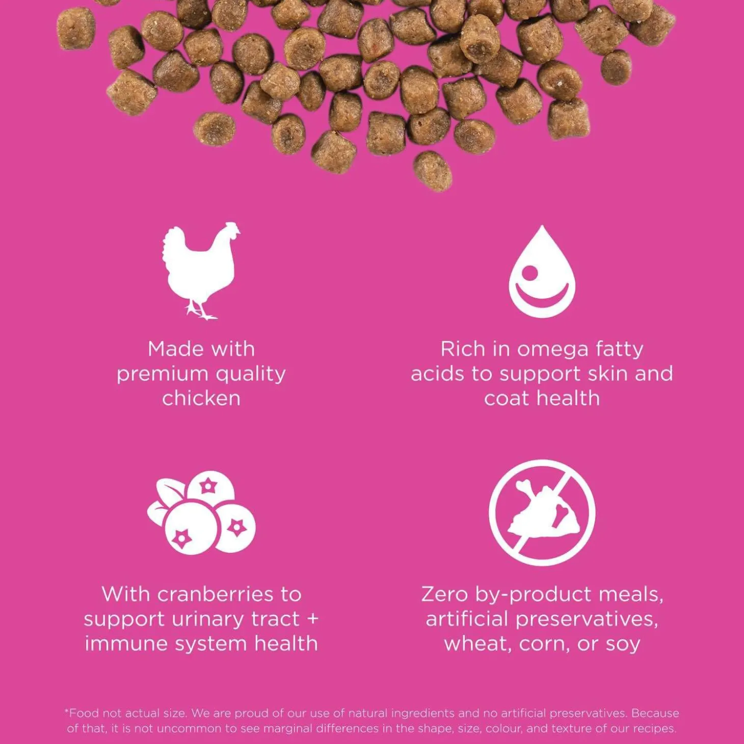 Skin + Coat Care Chicken With Grains Recipe Cat Food