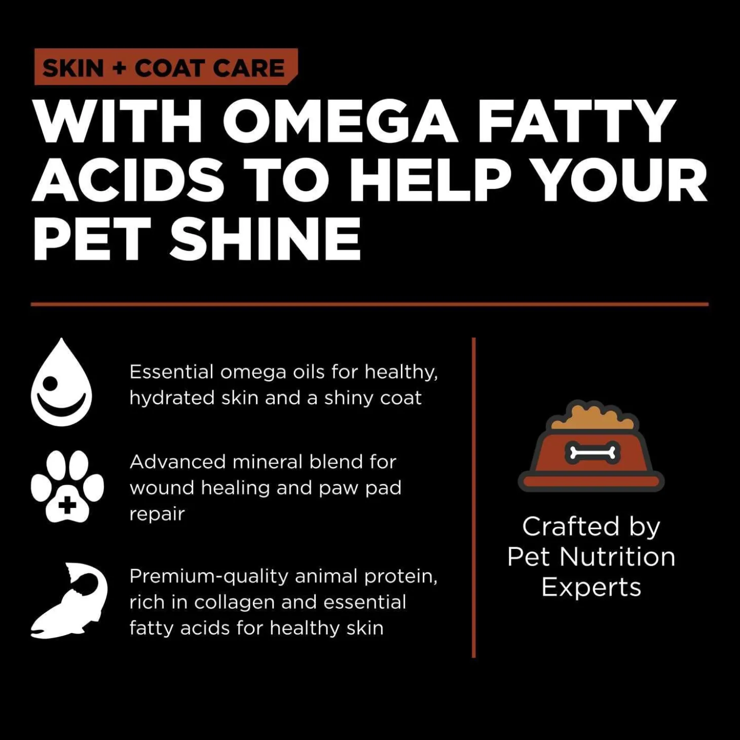 Skin + Coat Salmon With Grains Recipe Large Breed Adult Dog Food