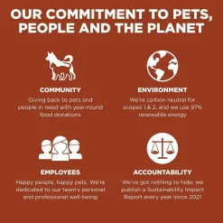 Skin + Coat Salmon With Grains Recipe Large Breed Adult Dog Food