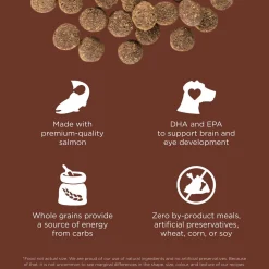 Skin + Coat Salmon With Grains Recipe Large Breed Puppy Dog Food