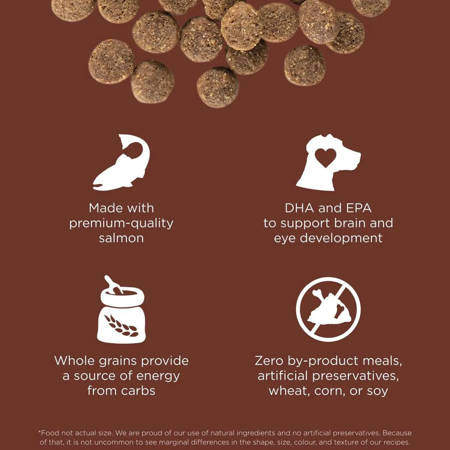 Skin + Coat Salmon With Grains Recipe Large Breed Puppy Dog Food