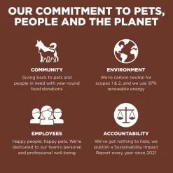 Skin + Coat Salmon With Grains Recipe Large Breed Puppy Dog Food