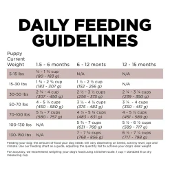 Skin + Coat Salmon With Grains Recipe Large Breed Puppy Dog Food