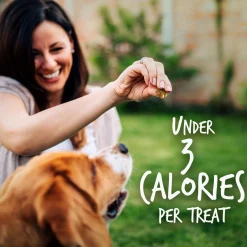 Skinny Minis Soft Pumpkin & Berry Flavour Dog Treats