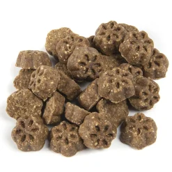 Skinny Minis Soft Pumpkin & Mango Flavour Dog Treats