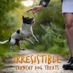 Skinny Minis Soft Pumpkin & Mango Flavour Dog Treats